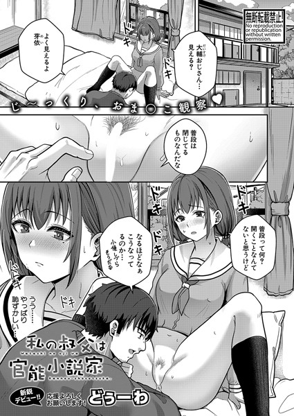 【私の叔父は官能小説家】